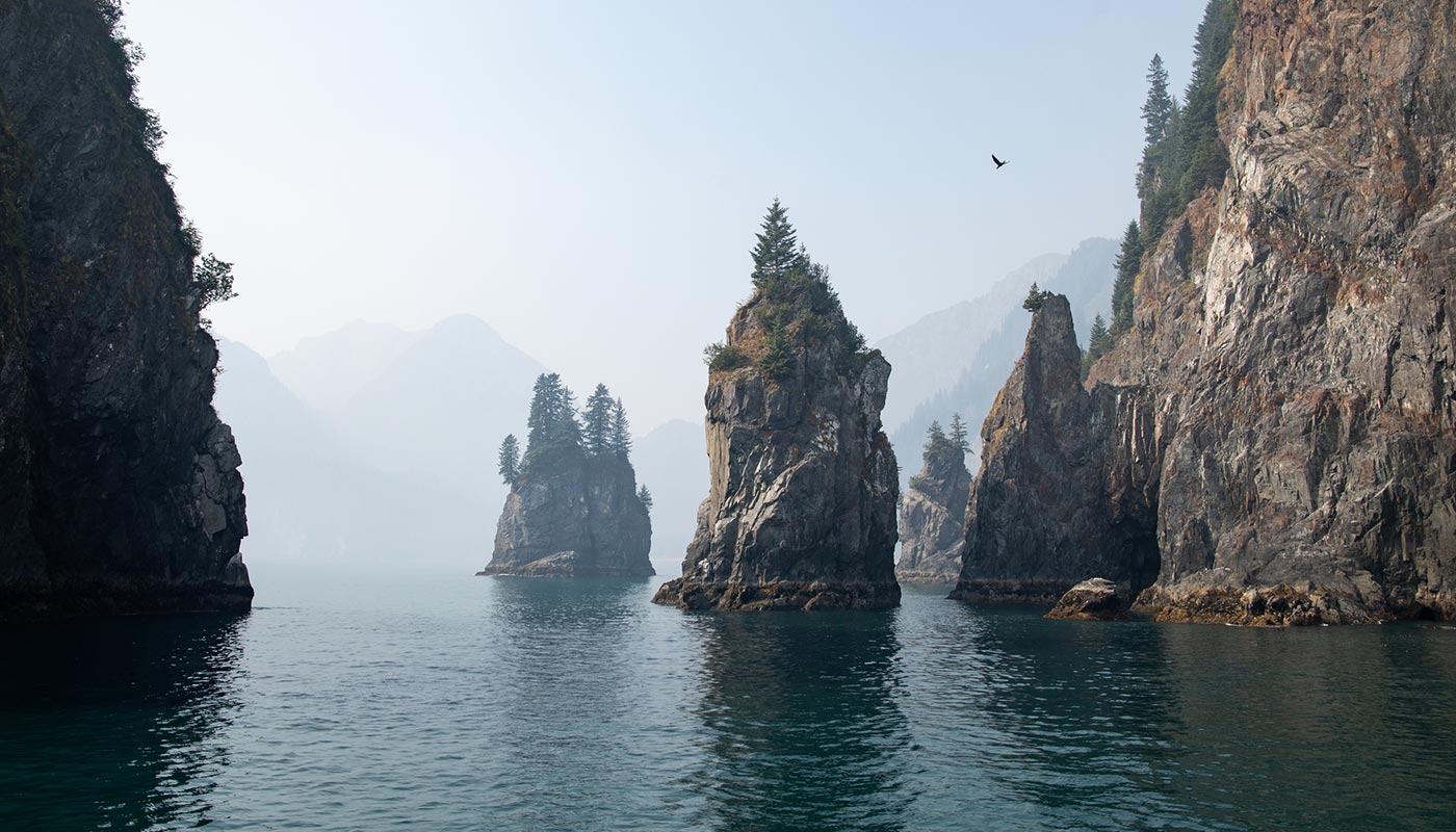 Alaska Collection Amazing Alaskan Vacations Seward to the Arctic