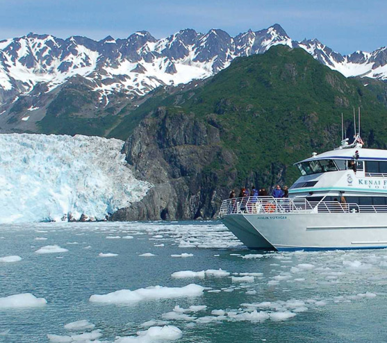 Kenai fjords tours discount coupon