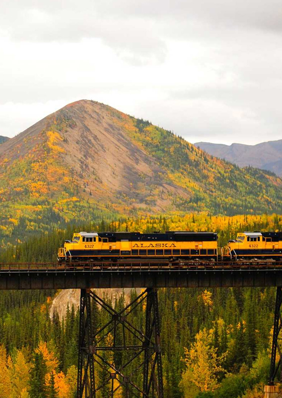How Alaska Railroad Tours Connect the Best