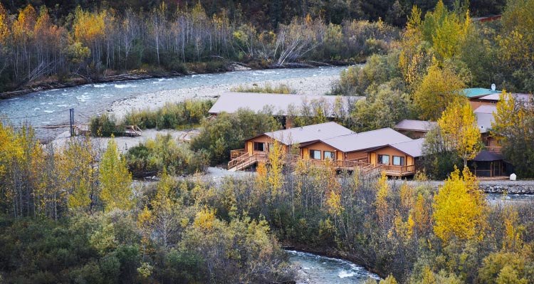 A view of the Denali Backcountry Lodge buildings alongside a rushing blue creek, surrounded by yellow and green trees.