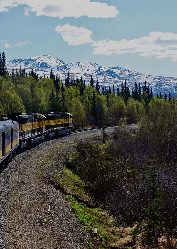 A blue and yellow train moves along the track between forests and below snowy mountains.