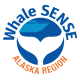 Whale Sense Logo