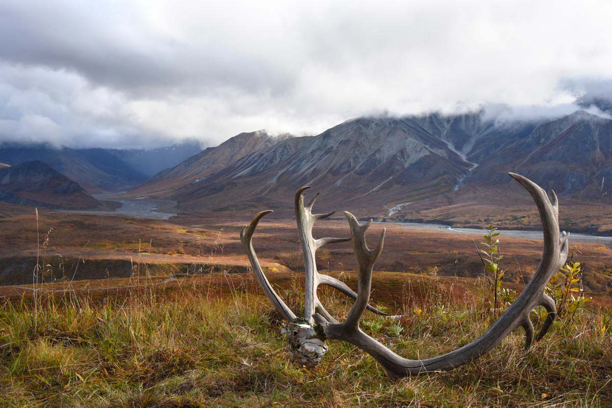 Alaska Backcountry Adventures Tours Alaska Backcountry Adventures Tours