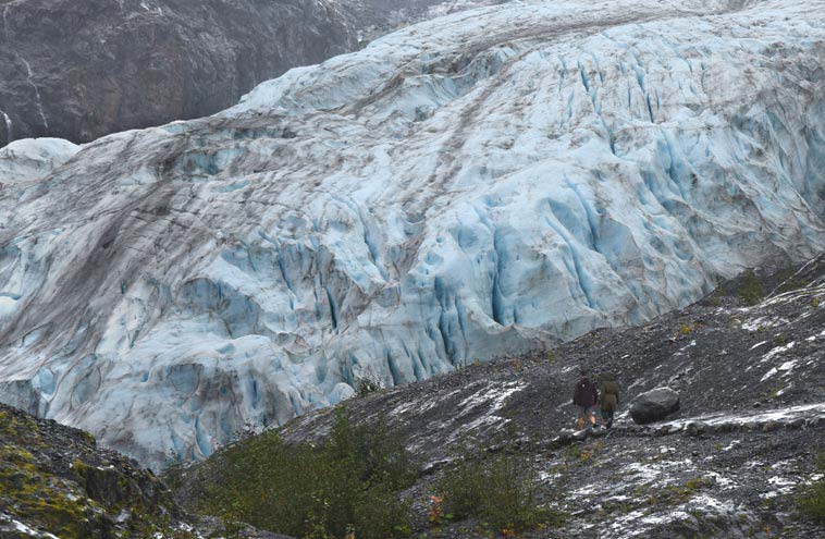 must see exit glacier hike near seward a guided walking tour