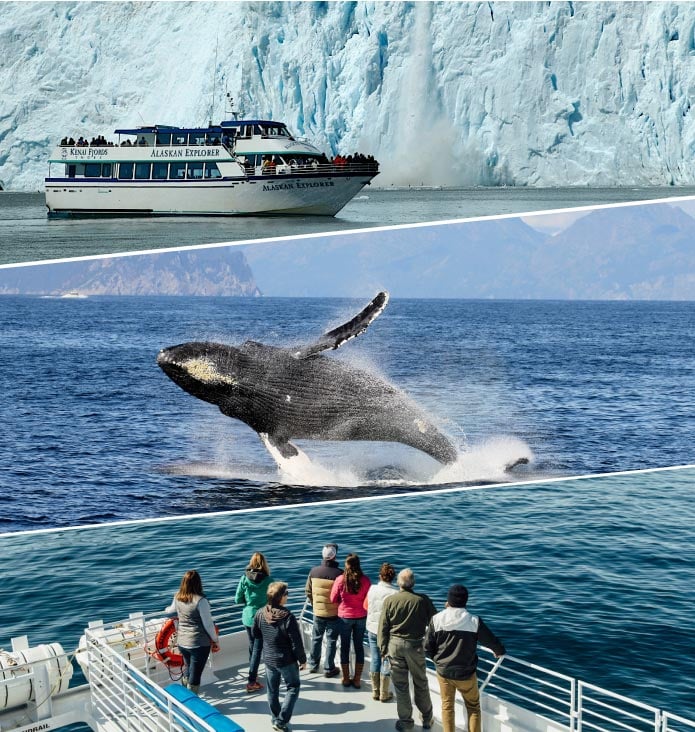 Epic Wildlife and Glacier Cruises