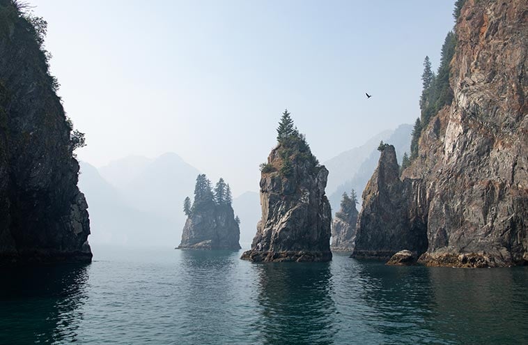 Kayaking In Kenai Fjords National Park: Retro Travel Poster | Great Big - Foto 13