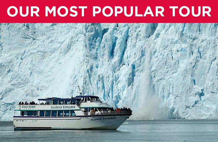 kenai fjords cruise