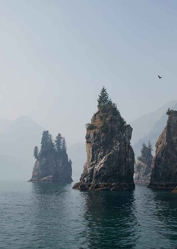 Rock pillars rise from the sea near the forested coast.