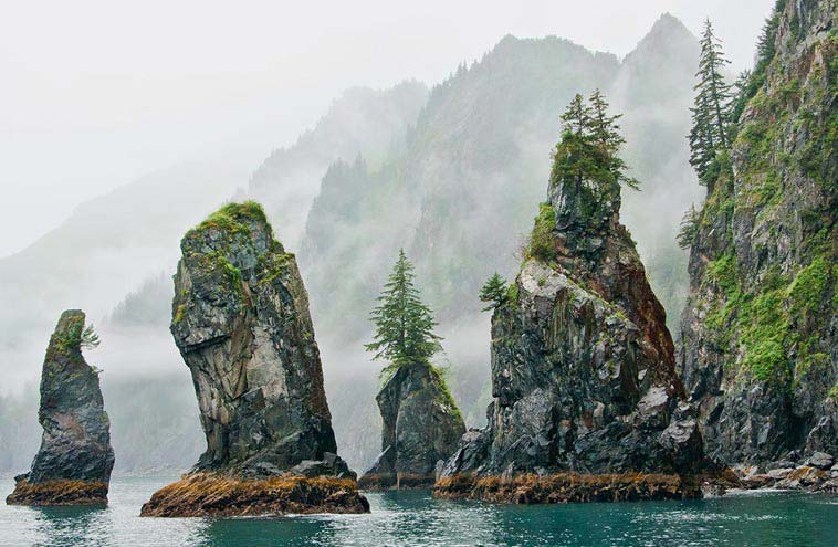 Tours Cruises of Kenai Fjords National Park | Kenai Fjords Tours
