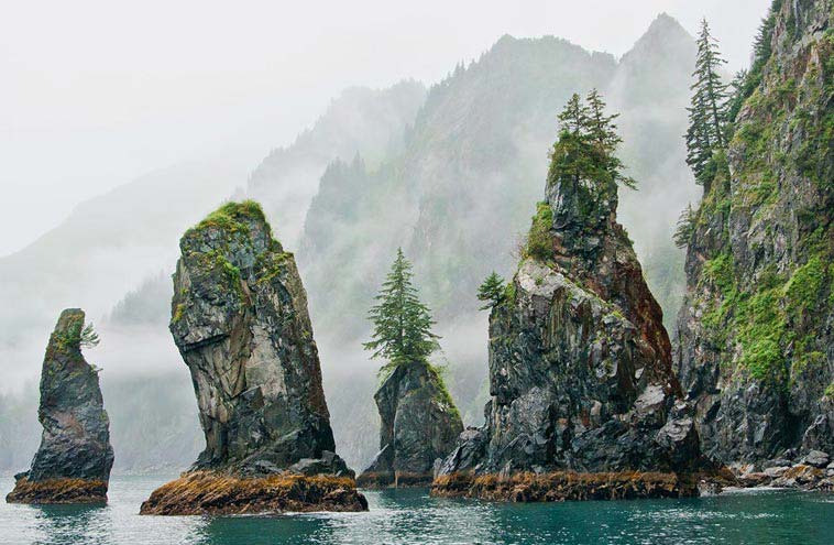 kenai fjords tours resurrection bay