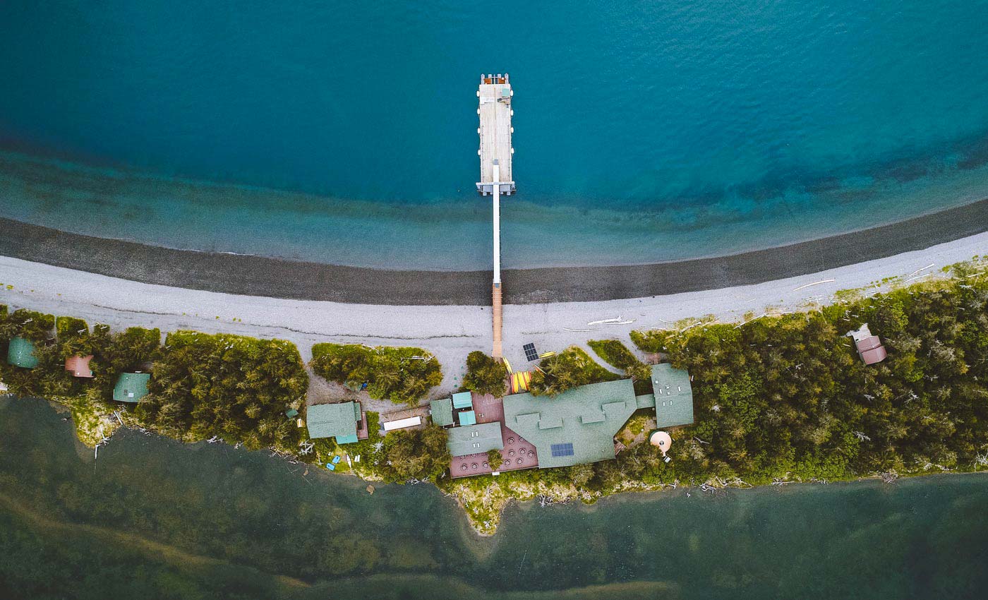 Kenai Fjords Tour Resurrection Bay FamilyFriendly HalfDay Tour