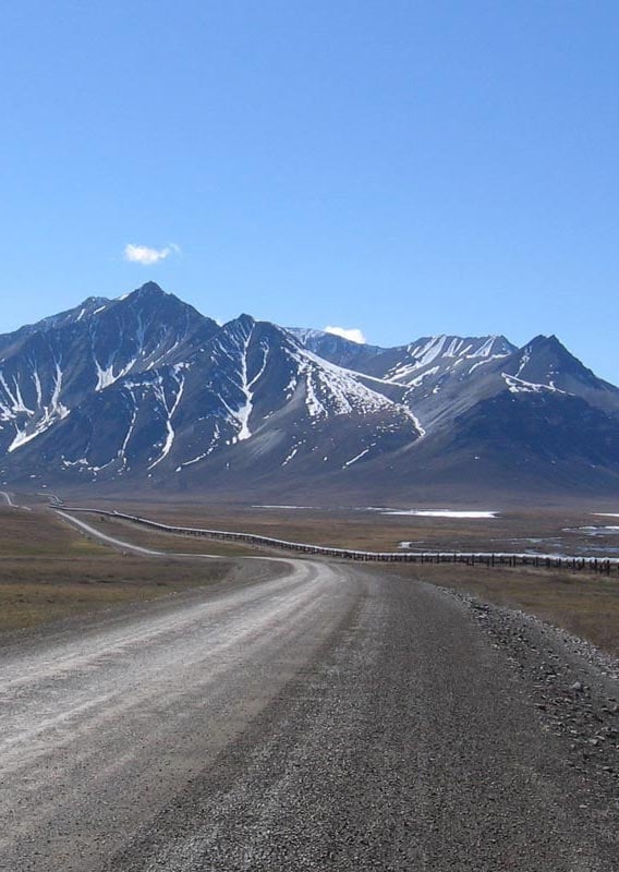 Venture deep into the Arctic within Alaska’s far north region