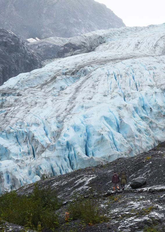 Hike the trail to Exit Glacier