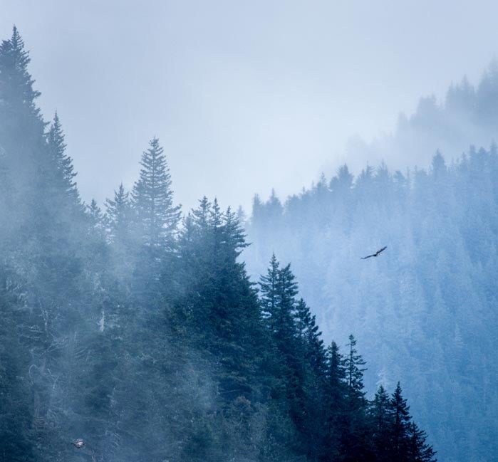 Alaska Alaska