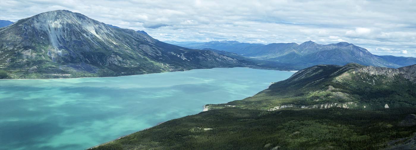 explore the yukon river bear caribou spotting in arctic alaska