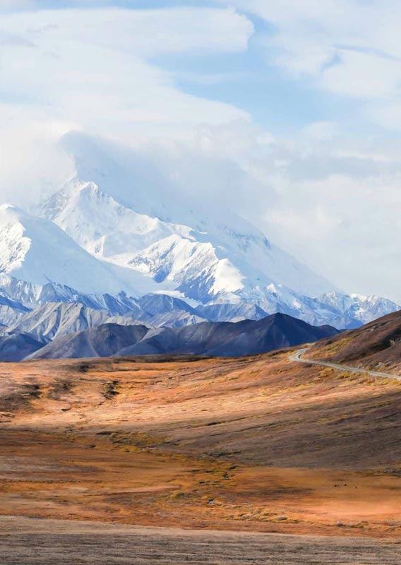 Kenai fjords tours discount coupon