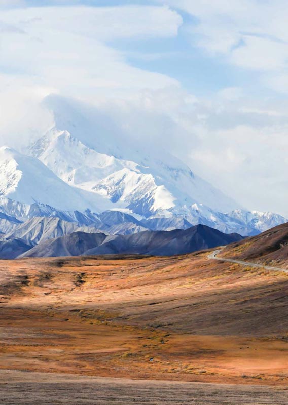 View of Denali and the Denali Park Road in Fall