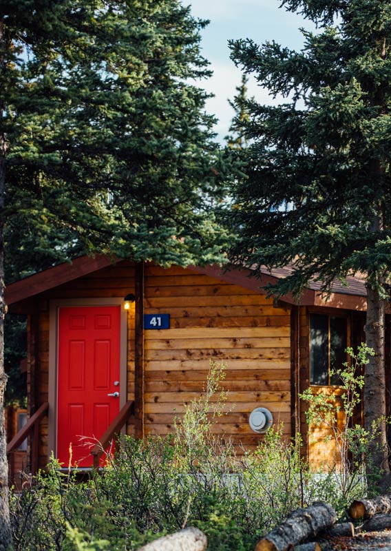 A view of wooden cabin among tall pine trees