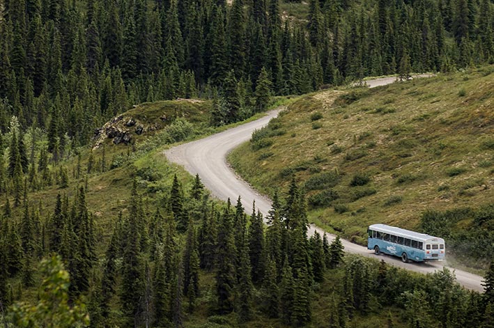 A blue bus drives up the Denali Highway