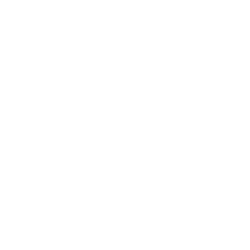 Above view of Seward Windsong Lodge, surrounded by trees and a mountain in the background