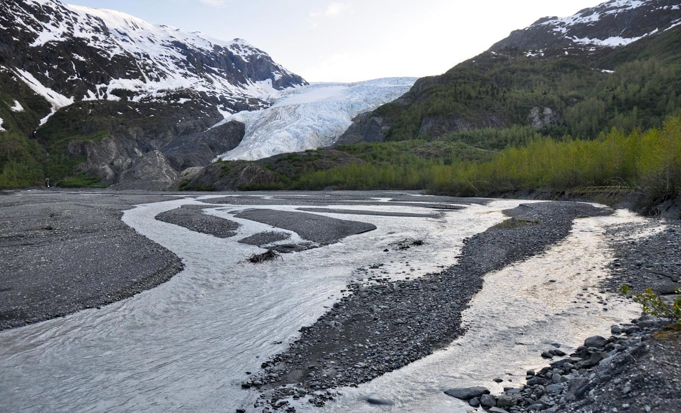 Experience Exit Glacier