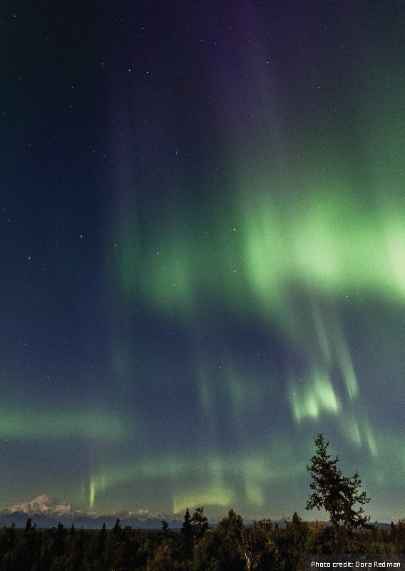 Aurora Borealis in the night sky with snowy mountain peaks and forest on horizon