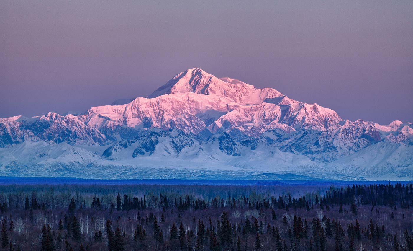 Breathtaking Views of Denali