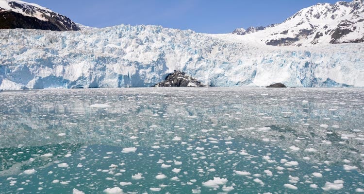 A tidewater glacier against turqoise ocean water with lots of little chunks of ice floating