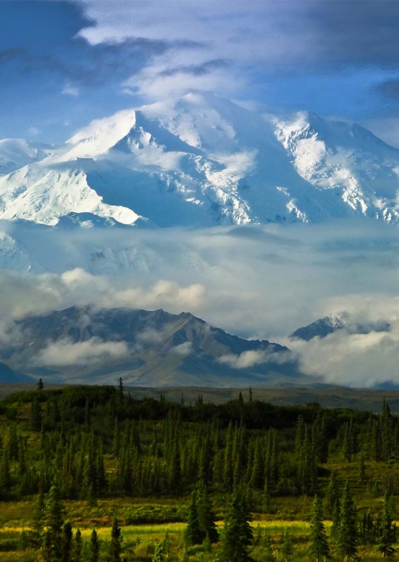 Denali in June