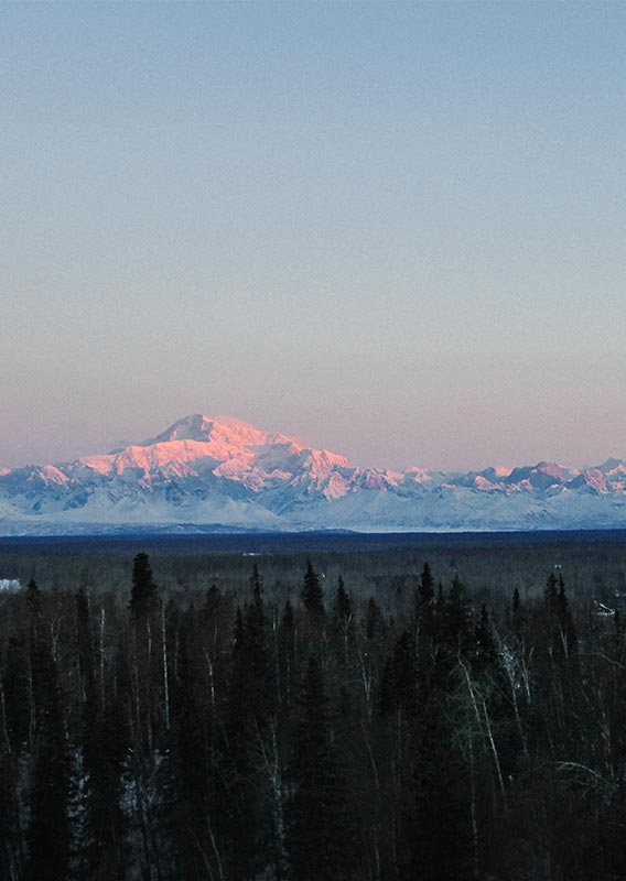 March in Talkeetna