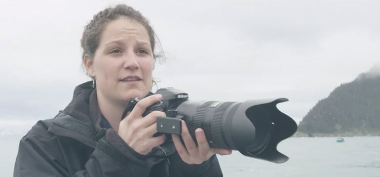 Kenai Fjords Team Member Taking Photographs