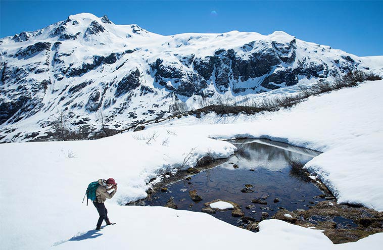 must see exit glacier hike near seward a guided walking tour