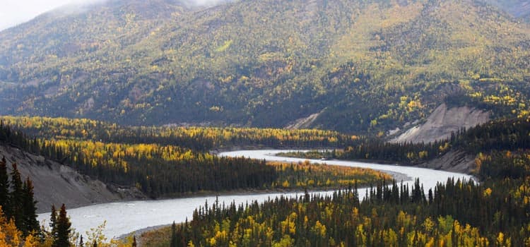 Fall Colors in Alaska