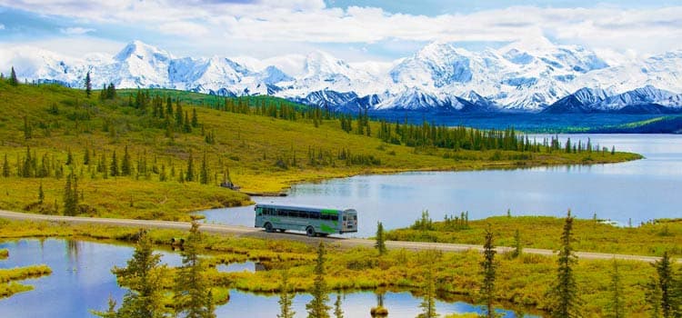 Denali Backcountry Adventure