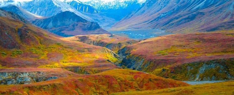 Denali National Park