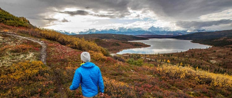 Hiking in Denali backcountry