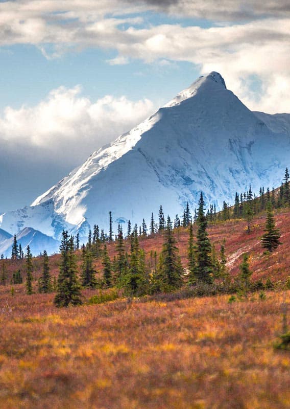 Alaska in the fall