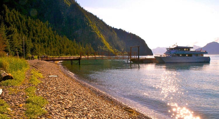 Kenai Fjords Tours at Fox Island