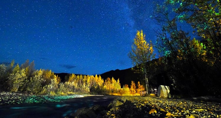 A view of a cloud-free night sky from a tree-covered riverbank.