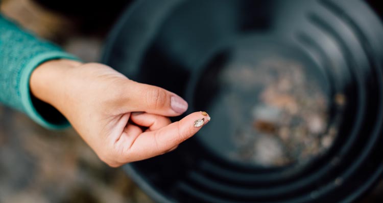 Panning for gold.