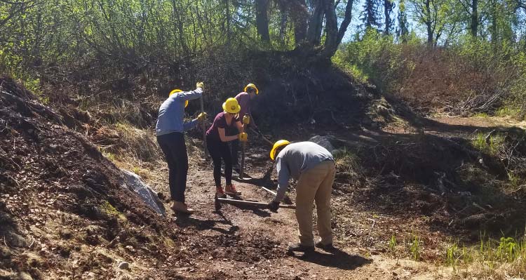 A group of people work on building a trail in a wooded area.