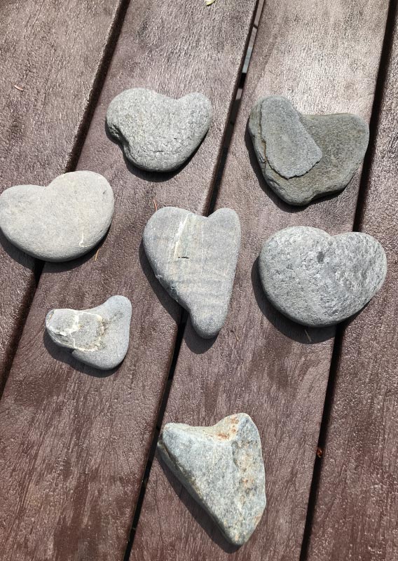 A close-up view of smooth beach rocks.