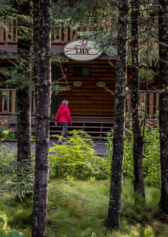 A person walks between a lush forest and a wooden lodge