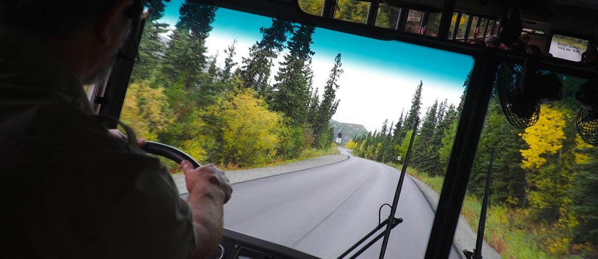 Driven to Explore in Denali National Park