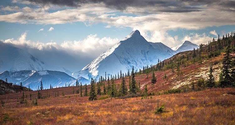 A view of a snow-covered mountains above yellow and green tundra.