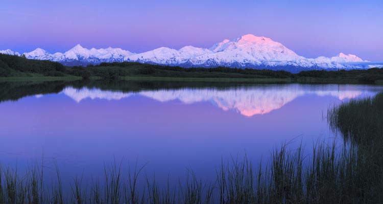 A snow-covered mountain rises behind a grassy river flood-plain