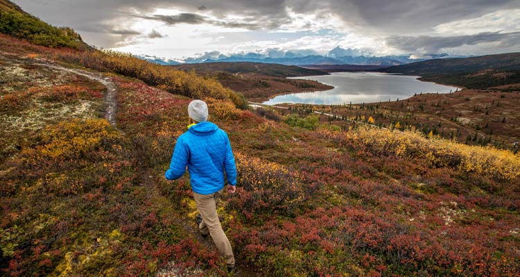 A person walks along a narrow trail in orange and red tundra.