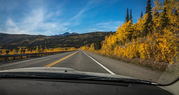 A view down a road alongside yellow autumn trees.