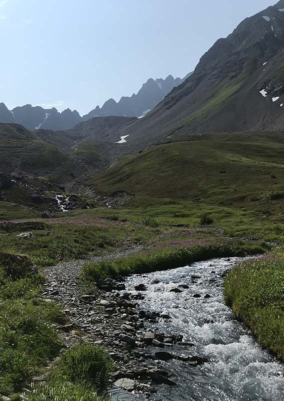 A river winds through a mountain meadow between jagged peaks