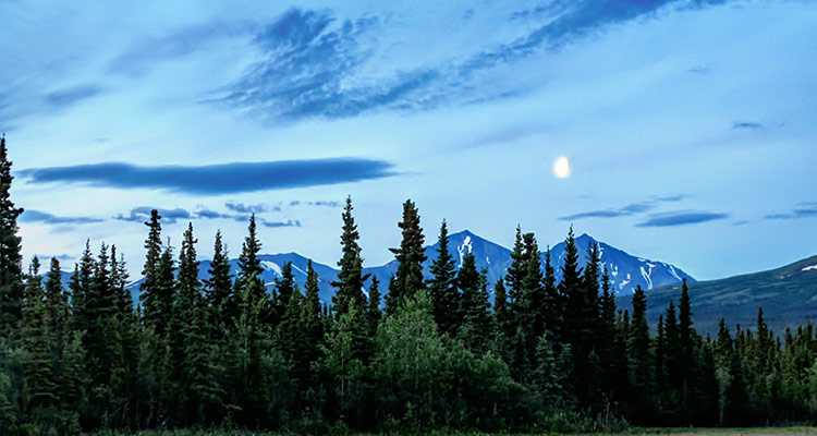 a sky at dusk with trees and the moon shining